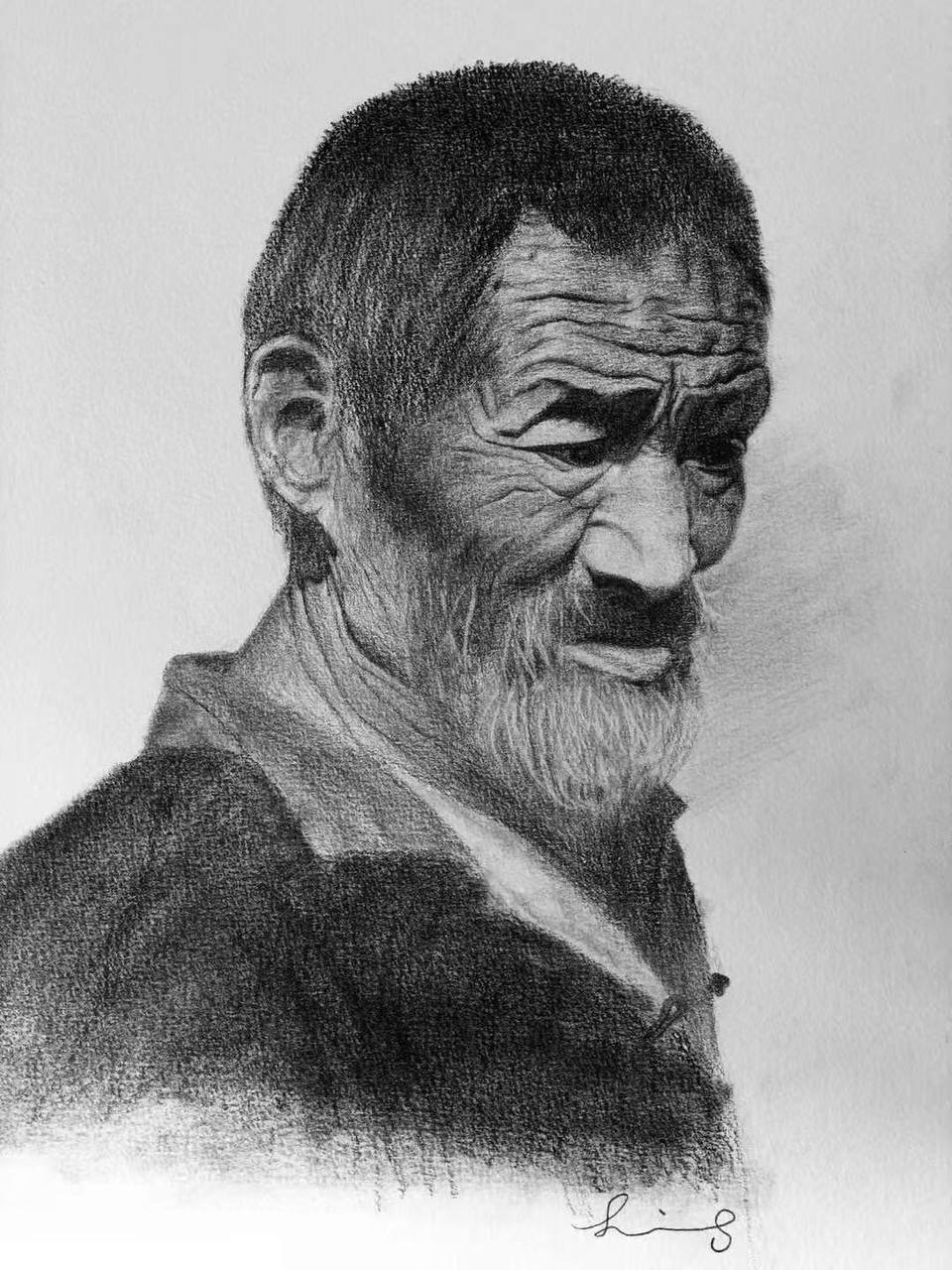 Botanical Study - Graphite on Paper